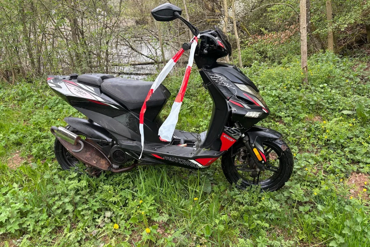 Prüm – Unbekannte entsorgen Roller in Teichanlage