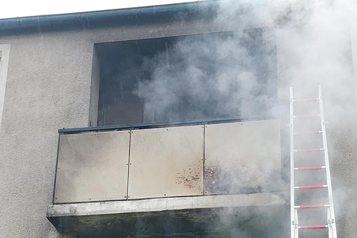 Hannover – Verletzte Katze nach Balkonbrand gerettet