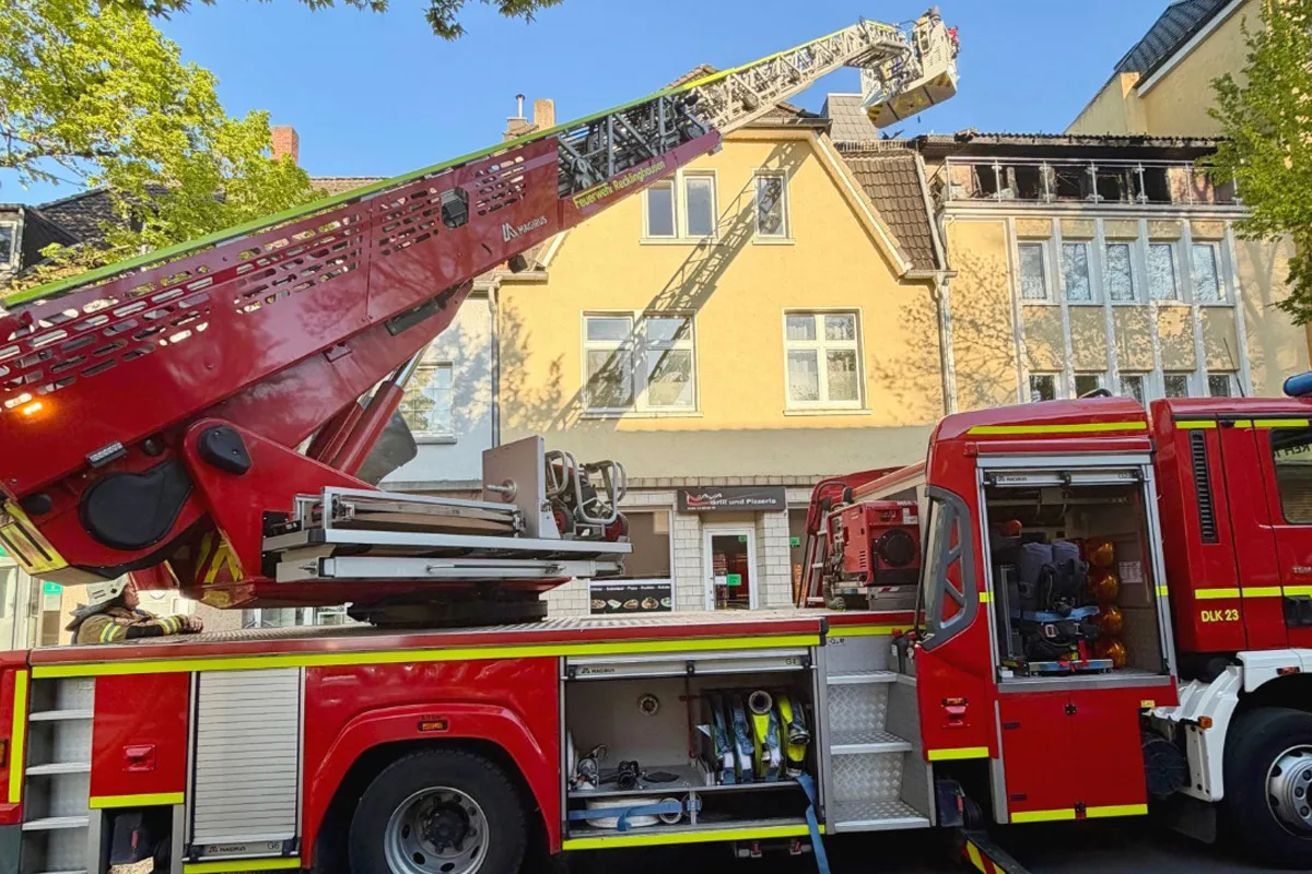 Recklinghausen – Zwei Katzen bei Wohnungsbrand gerettet