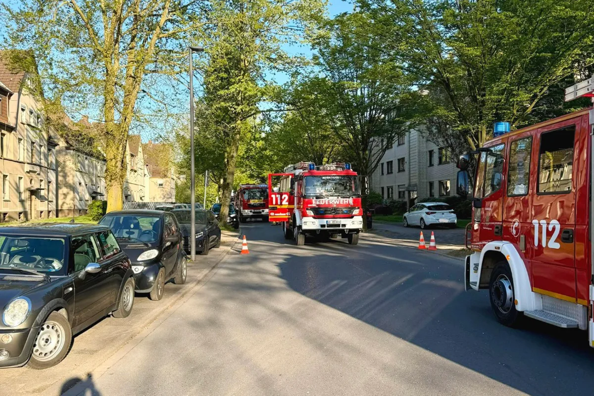 Recklinghausen – Zwei Katzen bei Wohnungsbrand gerettet