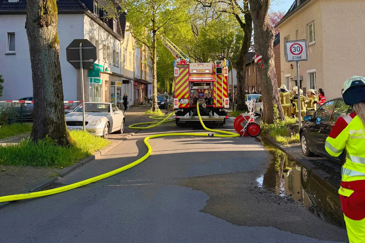 Recklinghausen – Zwei Katzen bei Wohnungsbrand gerettet