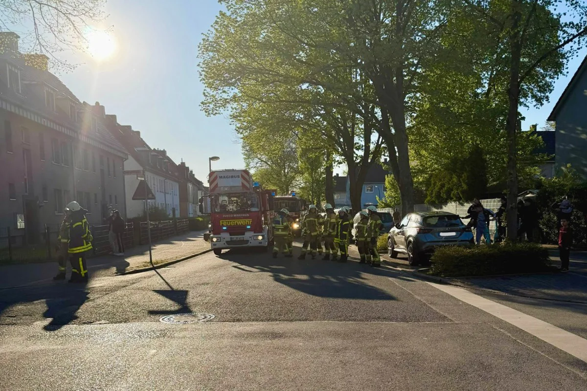 Recklinghausen – Zwei Katzen bei Wohnungsbrand gerettet
