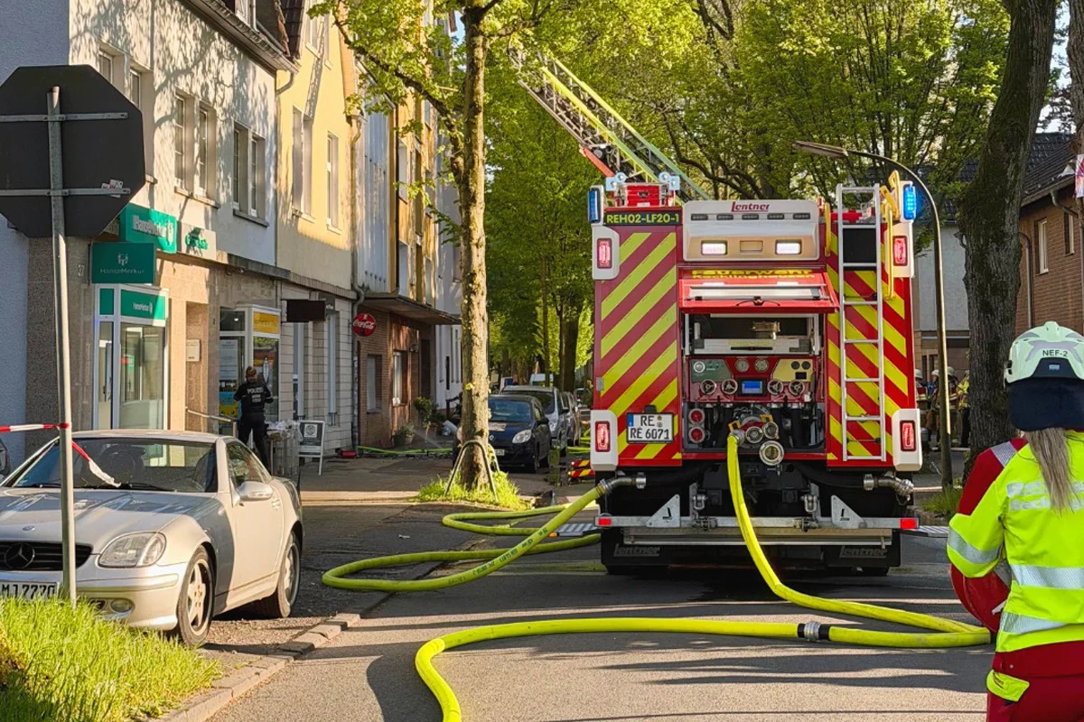 Recklinghausen – Zwei Katzen bei Wohnungsbrand gerettet