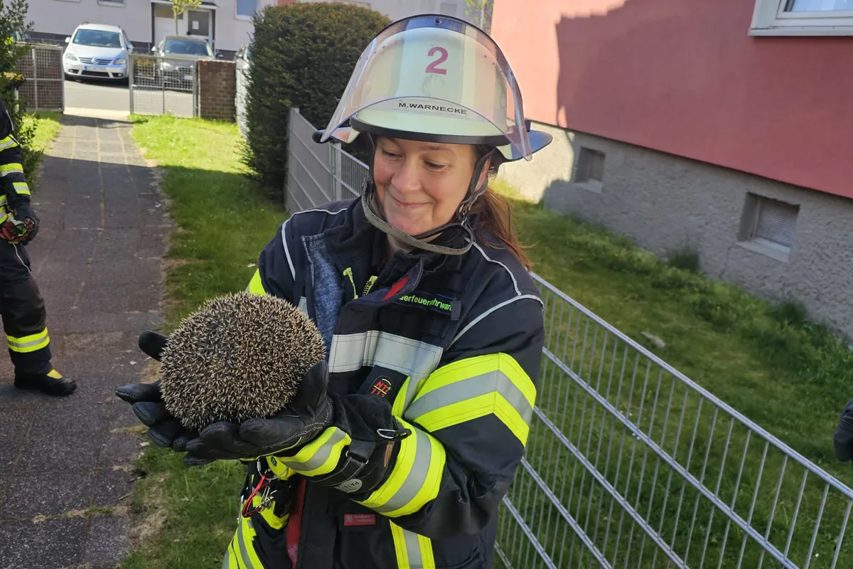 Celle – Feuerwehr befreit Igel aus Zaun
