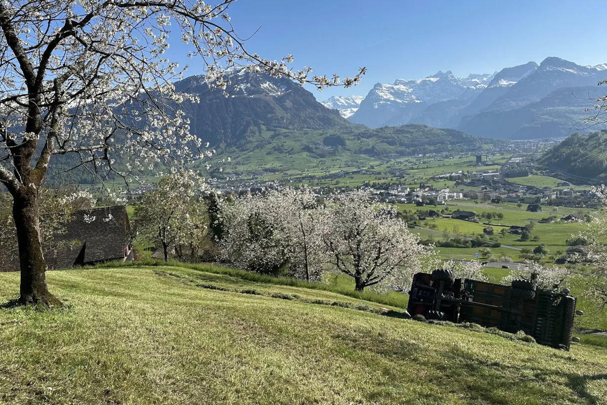 Schwerer Unfall in Seewen SZ – Heulader kippt um