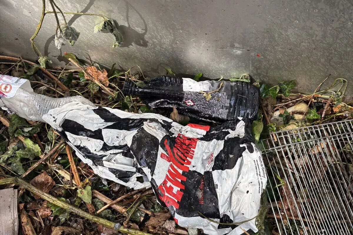 Muttenz BL – Feuer in Waldstück