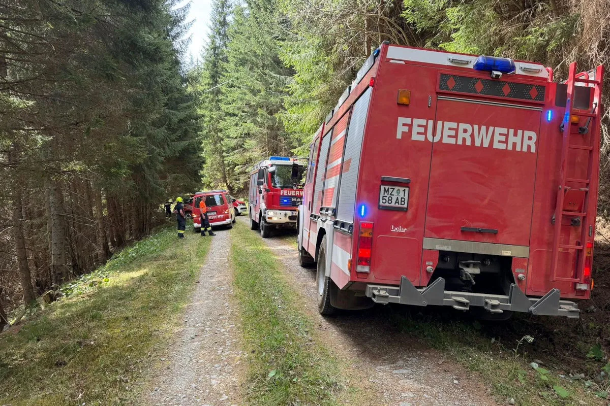 Mehrere rote Feuerwehrfahrzeuge stehen auf einem schmalen Waldweg. Personen in uniformierter Kleidung sind ebenfalls sichtbar.