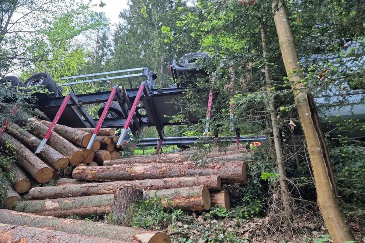 Ein Lkw liegt umgestürzt im Wald, umgeben von Baumstämmen. Der Auflieger ist teilweise sichtbar.