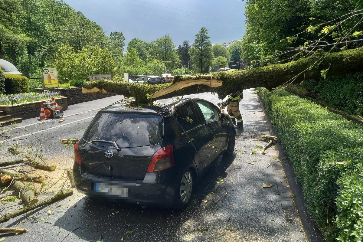 Ein großer Baum liegt quer über einem schwarzen Auto, das auf einer Straße geparkt ist. Im Hintergrund ist dichte Vegetation zu sehen und eine Person in Sicherheitskleidung steht daneben.