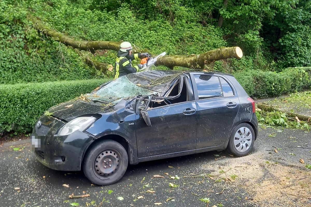 Ein Feuerwehrmann in Schutzkleidung benutzt eine Kettensäge, um einen Baumstamm zu entfernen, der auf einem Auto liegt und dessen Dach eingedrückt hat.