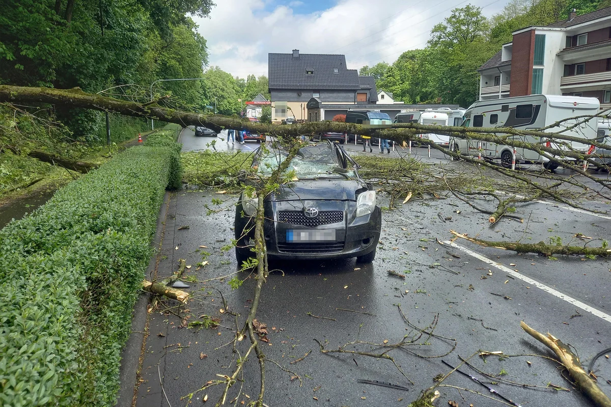Ein großer Baum ist auf ein geparktes schwarzes Auto gestürzt. Im Hintergrund sind mehrere geparkte Fahrzeuge und einige Personen zu sehen.