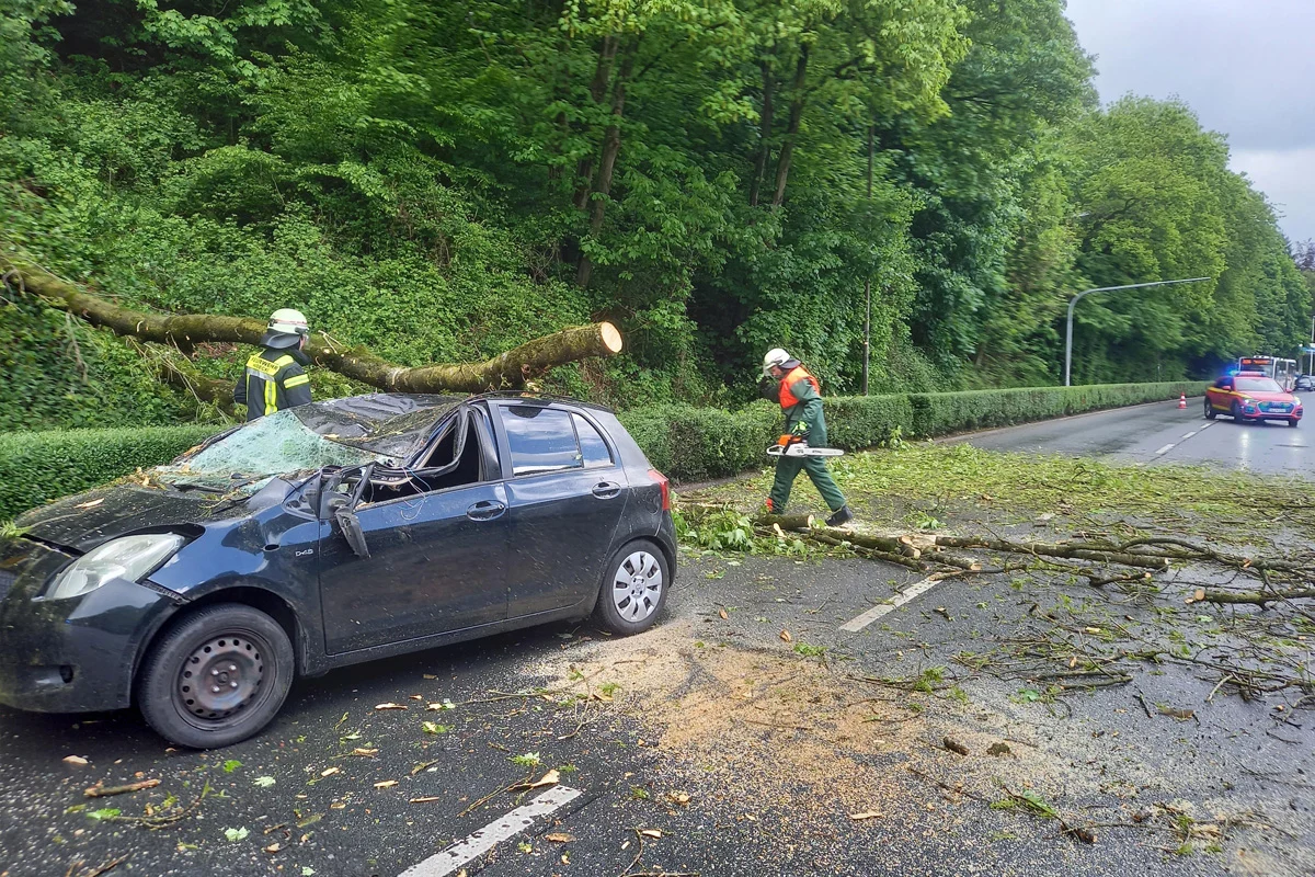 Ein Auto ist schwer beschädigt, da ein Baum auf es gefallen ist. Feuerwehrleute sind vor Ort und arbeiten mit einer Motorsäge an der Unfallstelle.