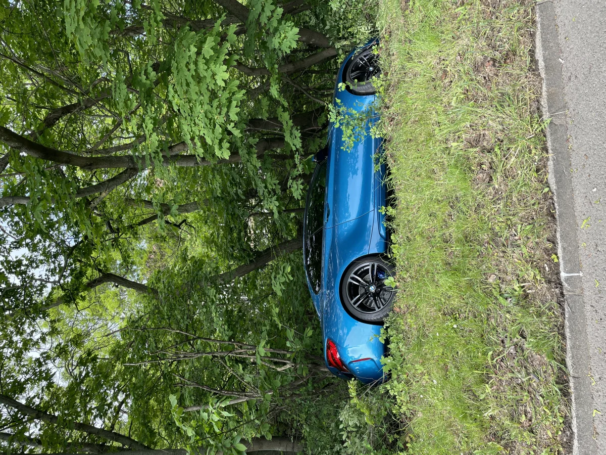 Ein blaues Auto steht im Grünen, nahe an einer Straße. Es scheint von der Fahrbahn abgekommen zu sein und parkt nun auf einer Rasenkante neben einigen Bäumen.
