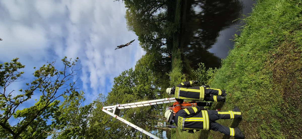 Drei Feuerwehrleute, teils in Schutzkleidung, stehen neben einer Leiter am Flussufer, umgeben von Bäumen und Wasser.