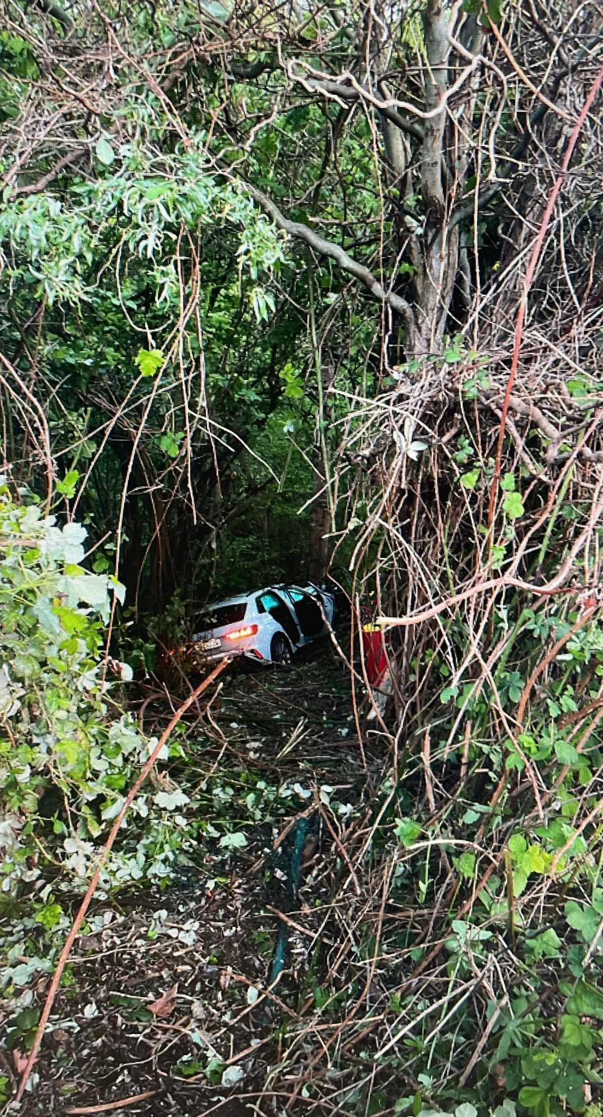 Ein Auto ist nach einem Unfall von der Straße abgekommen und im dichten Gebüsch gelandet. Es ist von belaubten Ästen und Zweigen umgeben.