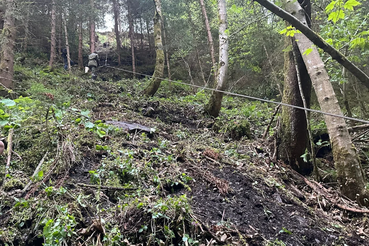 Zwei Personen sind im steilen Waldgelände zu sehen, die sich mithilfe eines Seils abseilen. Der Hang ist dicht bewachsen mit Bäumen und Vegetation.