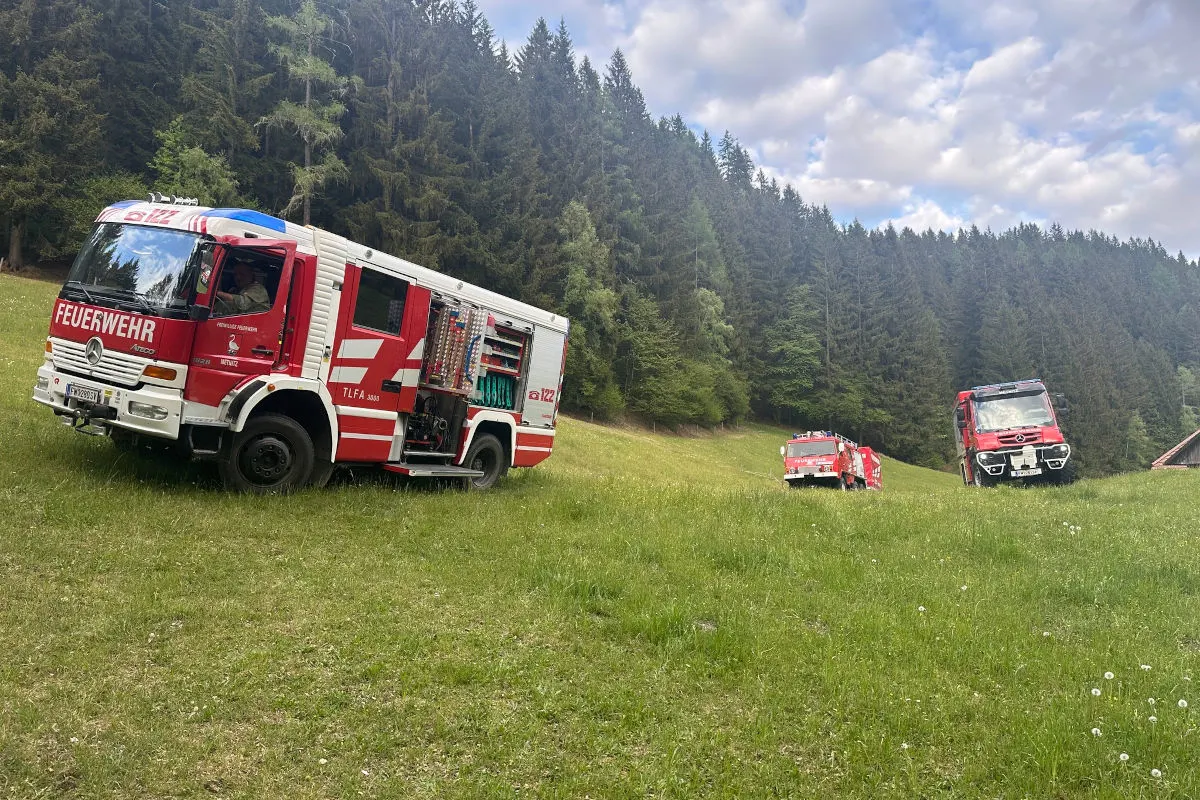 Drei rote Feuerwehrfahrzeuge stehen auf einer grünen Wiese. Im Hintergrund ist ein dichter Wald zu sehen, der sich unter einem bewölkten Himmel erstreckt.
