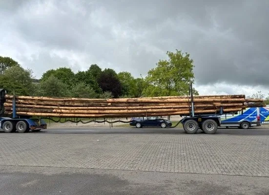 Ein blauer Lastwagen ist mit großen Baumstämmen beladen, daneben steht ein Polizeifahrzeug unter wolkigem Himmel auf einem Parkplatz.