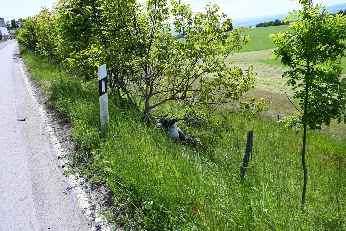 Ein Fahrzeug liegt im Graben abseits einer asphaltierten Straße, teilweise verdeckt durch Bäume und hohes Gras, bei Tageslicht.