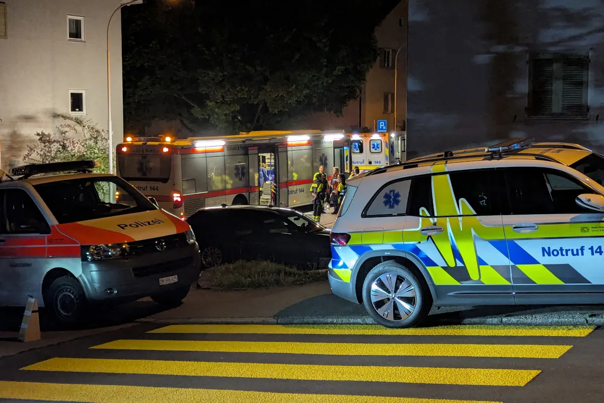 Ein Polizeifahrzeug und mehrere Rettungswagen in einer Wohngegend bei Nacht. Sanitäter kümmern sich um eine Person.