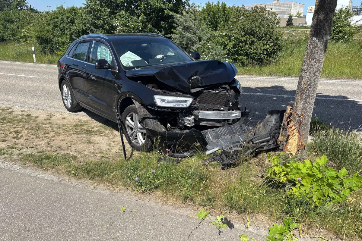 Ein schwarzes Auto zeigt schwere Frontschäden nach einer Kollision gegen einen Baum. Es befindet sich am Straßenrand einer ländlichen Straße, umgeben von Grünflächen.