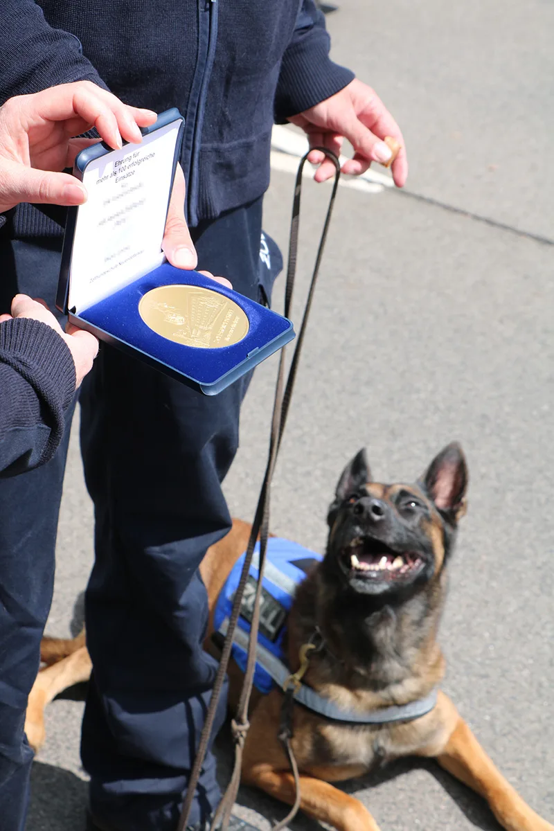 Ein Polizeihund, der auf dem Boden liegt, schaut nach oben, während eine Person in Uniform eine Medaille präsentiert. Der Hund trägt eine blaue Dienstweste.