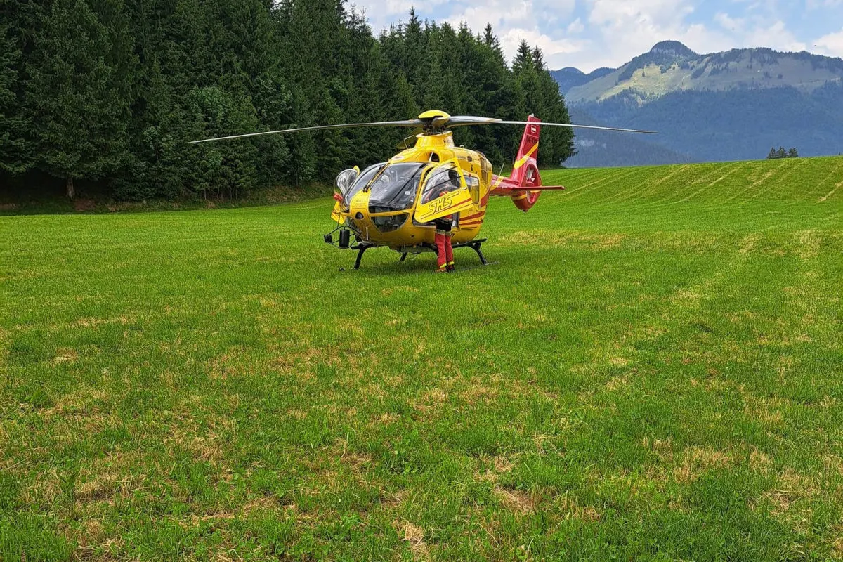 Ein gelber Rettungshubschrauber steht auf einer grünen Wiese. Im Hintergrund sind ein Wald und Berge zu sehen.