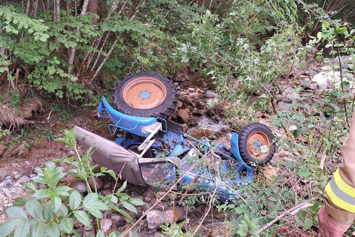 Ein blauer Traktor liegt auf dem Dach in einem dichten Gebüsch. Das Gelände ist unwegsam und von Pflanzen überwuchert.