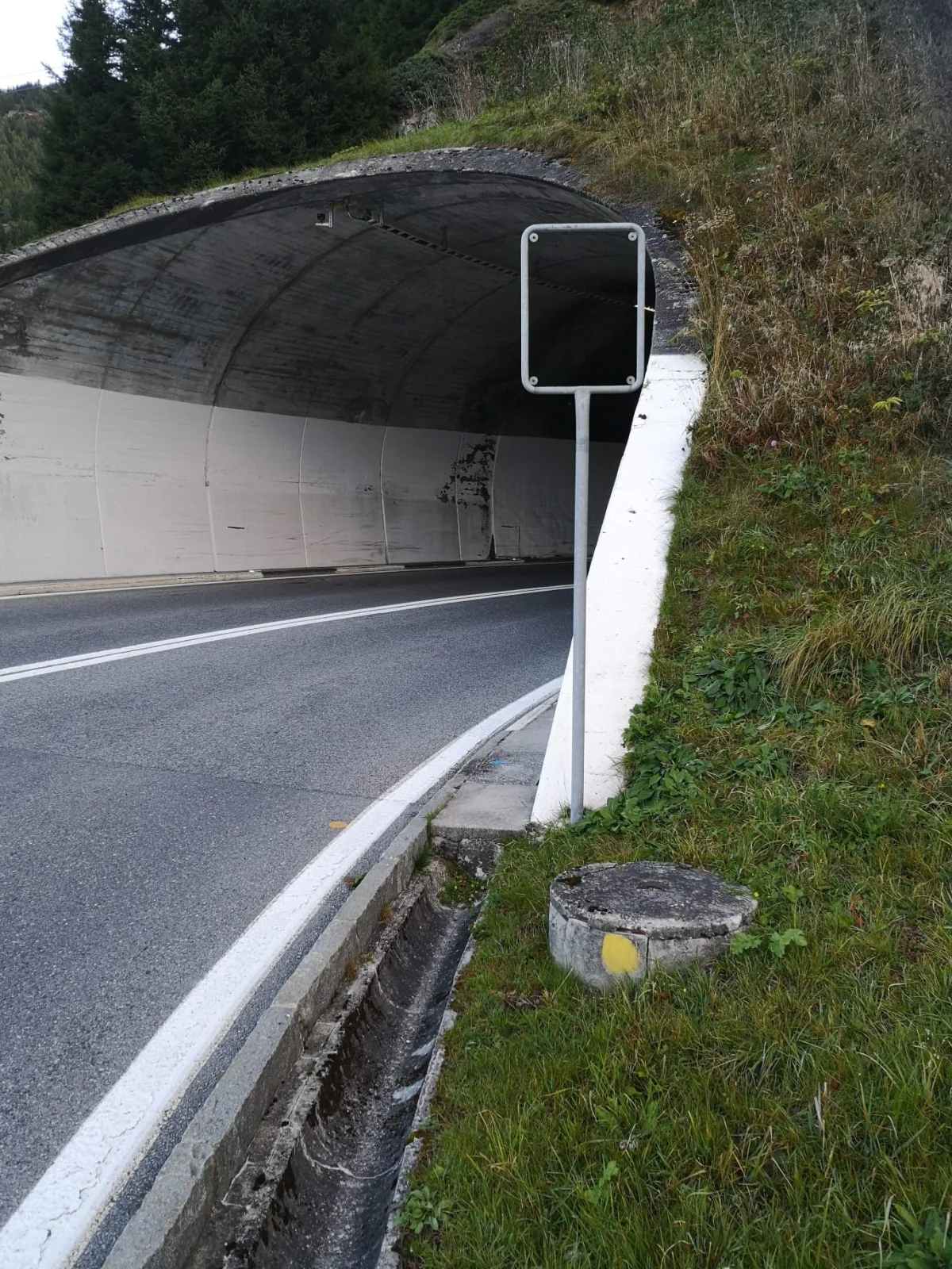Ein leeres Schild steht vor einem straßenähnlichen Tunnel mit grasbewachsenem Seitenstreifen. Wald im Hintergrund.