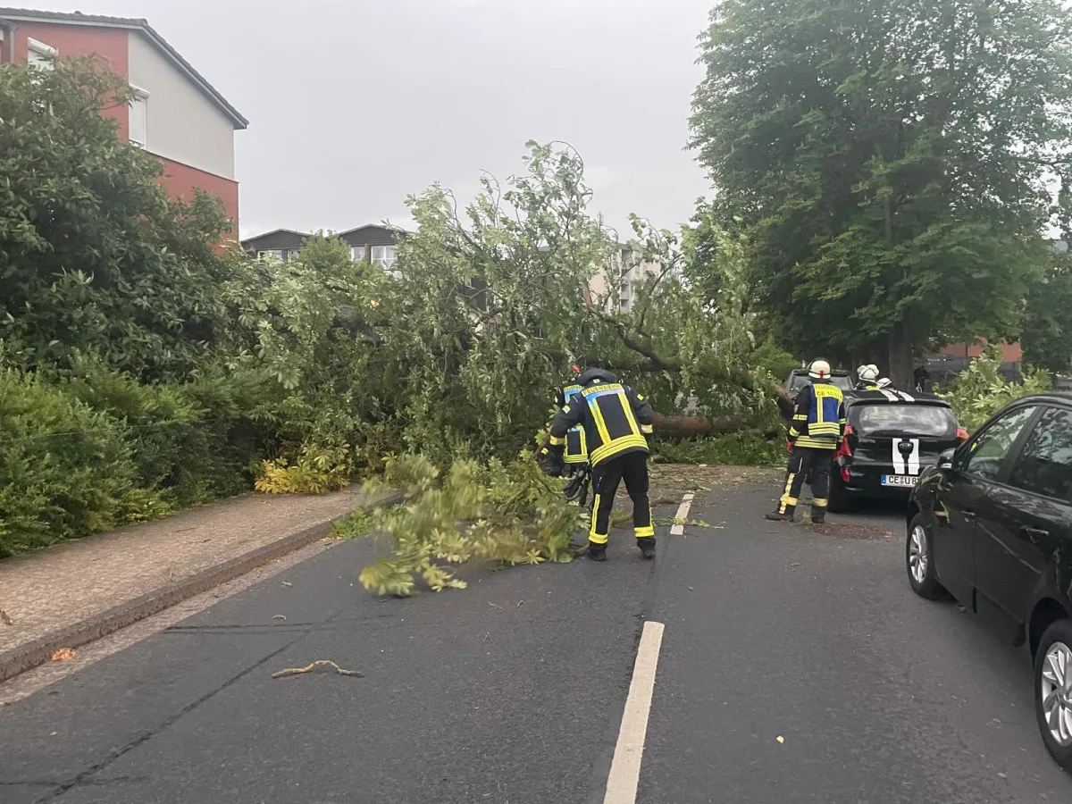 Ein umgestürzter Baum blockiert eine Straße, und mehrere Feuerwehrleute arbeiten daran, ihn zu entfernen. Im Hintergrund stehen geparkte Autos.