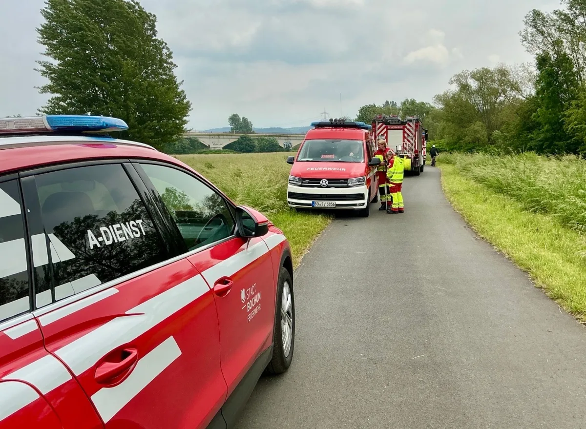 Mehrere rote Feuerwehrfahrzeuge parken auf einem schmalen Landweg. Einsatzkräfte in Schutzkleidung stehen neben den Fahrzeugen.