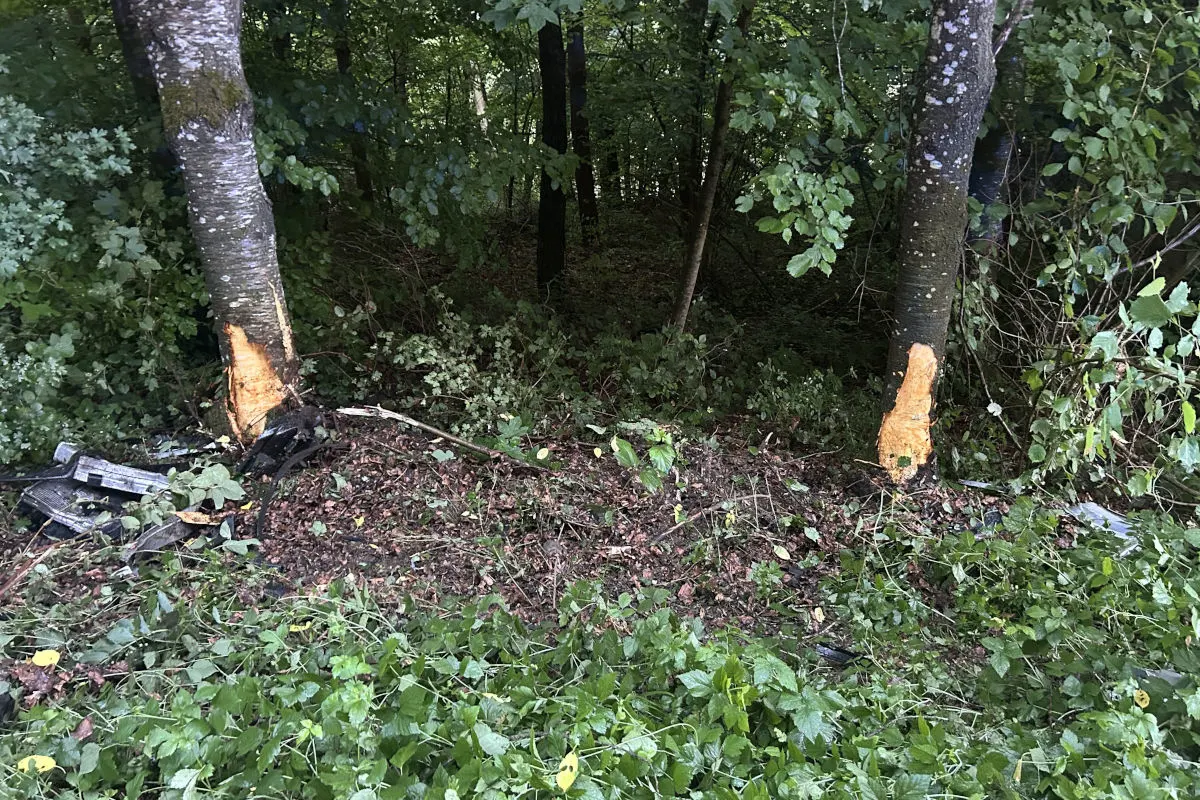 Zwei Bäume zeigen Abnutzungsspuren durch einen Aufprall, umgeben von Autotrümmern am Waldrand.