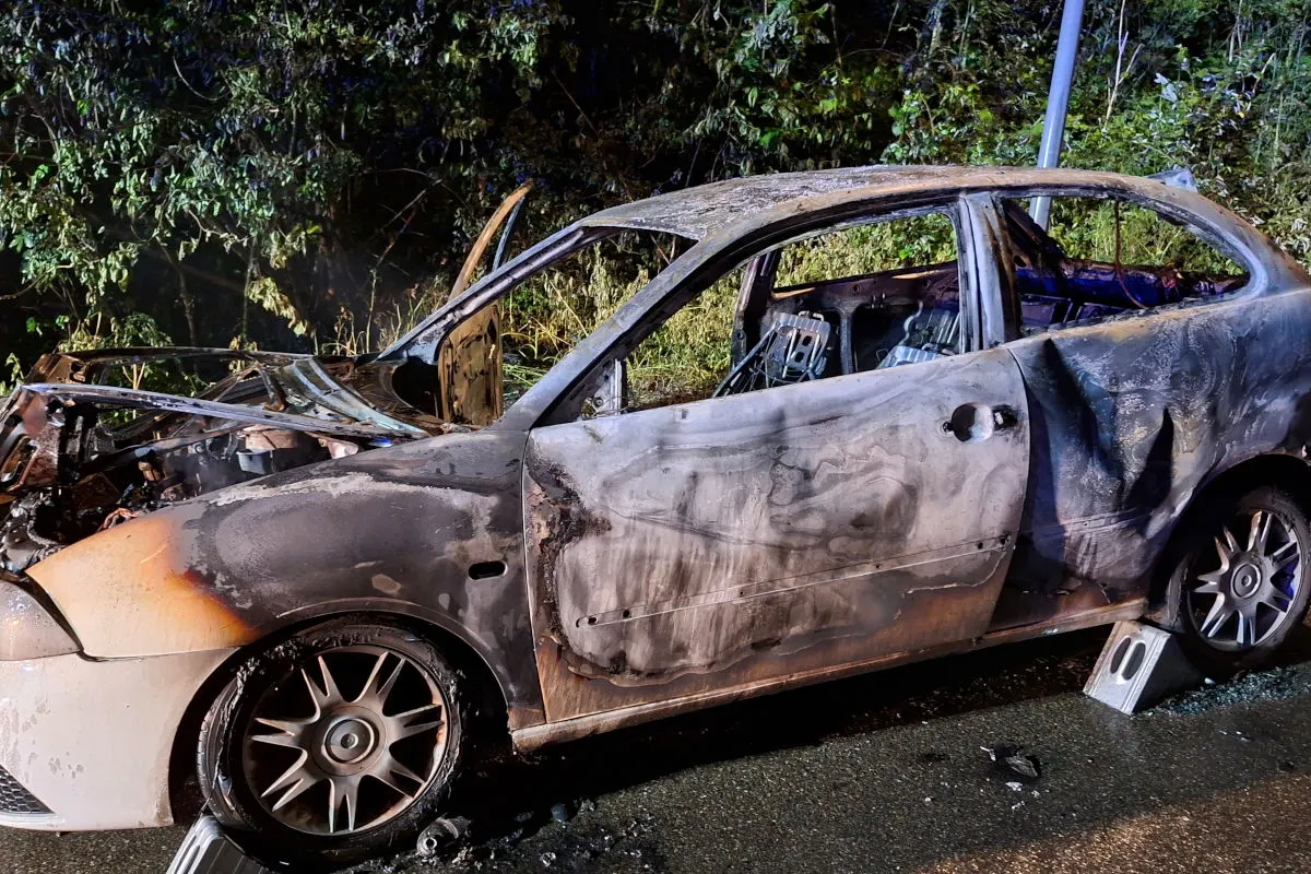 Ein abgebranntes Fahrzeug steht bei Nacht am Straßenrand, umgeben von Vegetation.