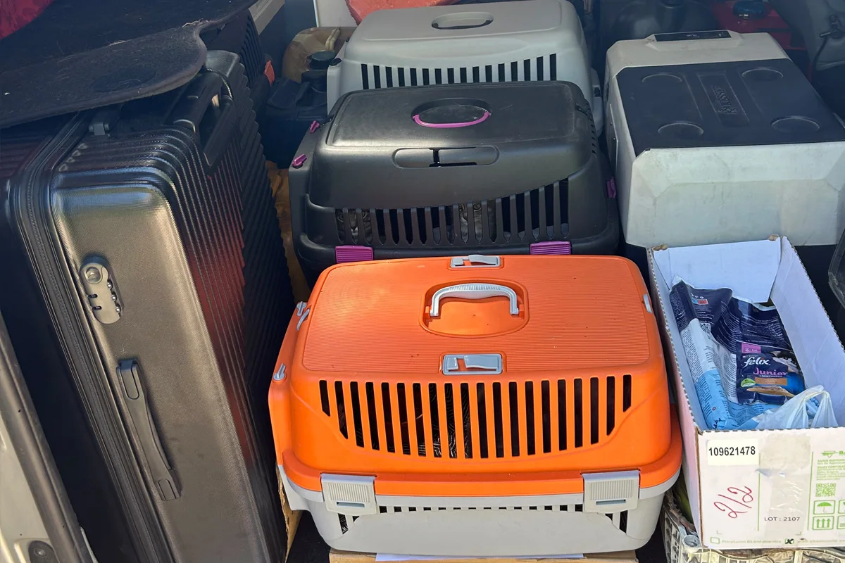 Der Kofferraum eines Fahrzeugs ist voller Transportboxen, darunter eine auffällige orangefarbene Box, sowie Koffer und eine Schachtel.