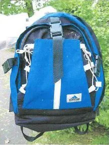 Ein blauer Rucksack mit weißen Kordeln und einem Adidas-Logo befindet sich im Vordergrund auf einem Asphaltweg.