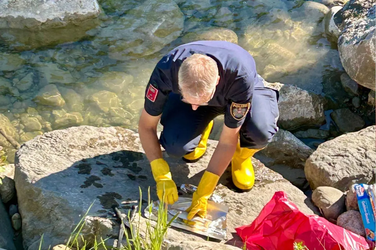 Ein Polizist kniet an einem Flussufer und beschäftigt sich mit blattähnlichen Gegenständen auf den Steinen. Er trägt Gummistiefel und -handschuhe.