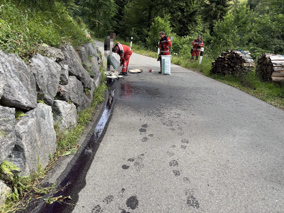 Zwei Personen in roten Anzügen sind auf einer schmalen Straße beschäftigt, möglicherweise bei einem Einsatz zur Absicherung oder Reinigung. Die Umgebung ist bewaldet, mit Steinen und Holzstapeln an den Seiten.