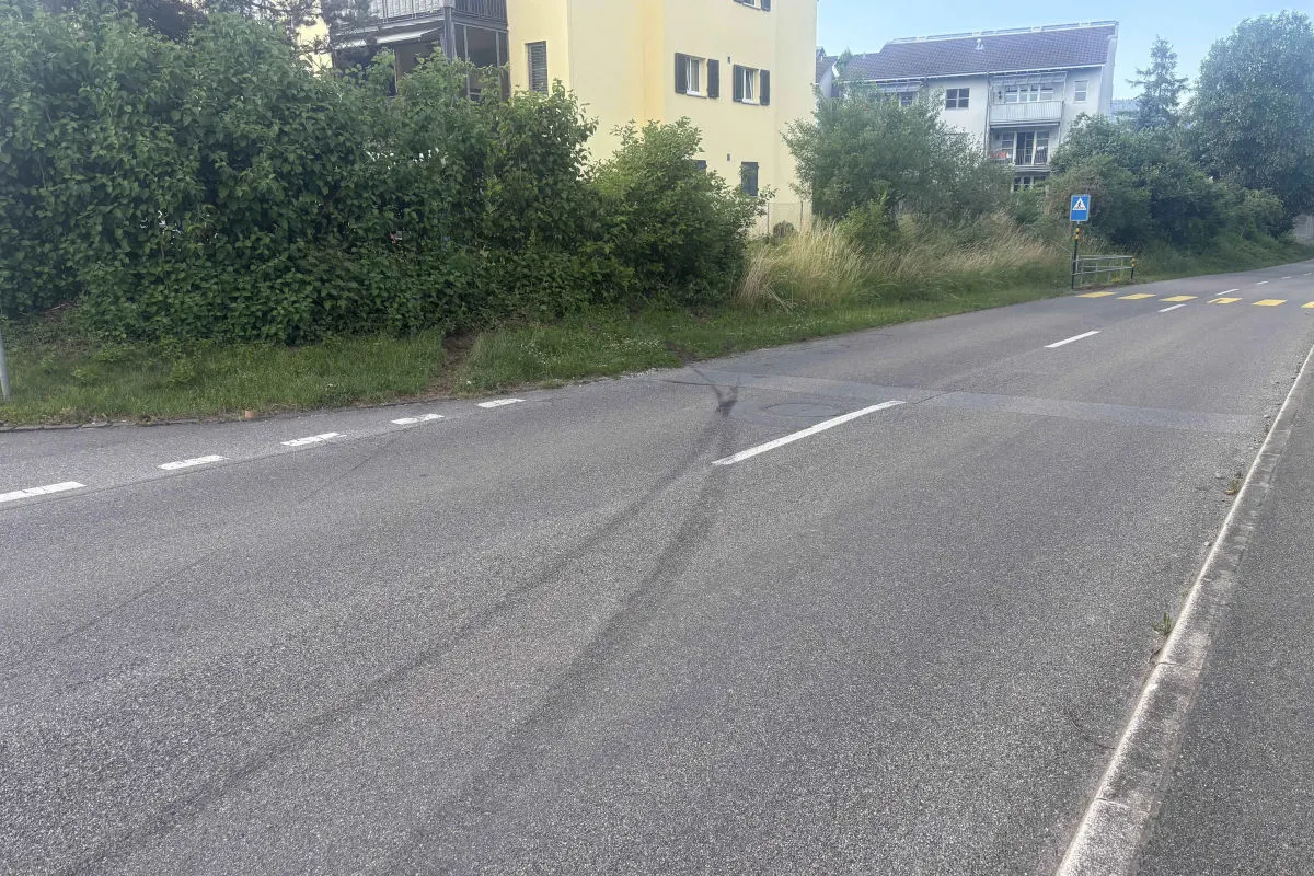 Reifenabdrücke sind auf einer asphaltierten Straße sichtbar, die durch ein Wohngebiet führt. Im Hintergrund stehen Wohnhäuser und Büsche.