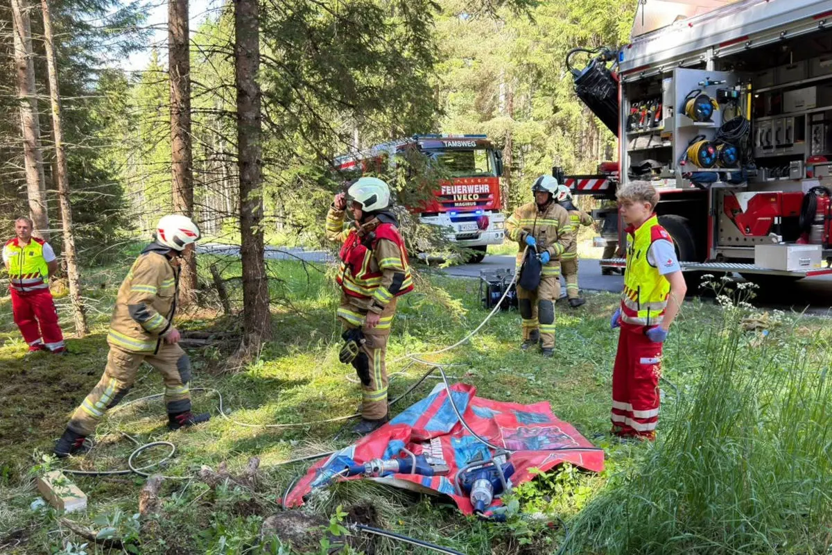 Feuerwehrleute stehen im Wald neben einem ausgepackten Schlauchset vor einem Feuerwehrfahrzeug mit der Aufschrift 'Tamsweg'.