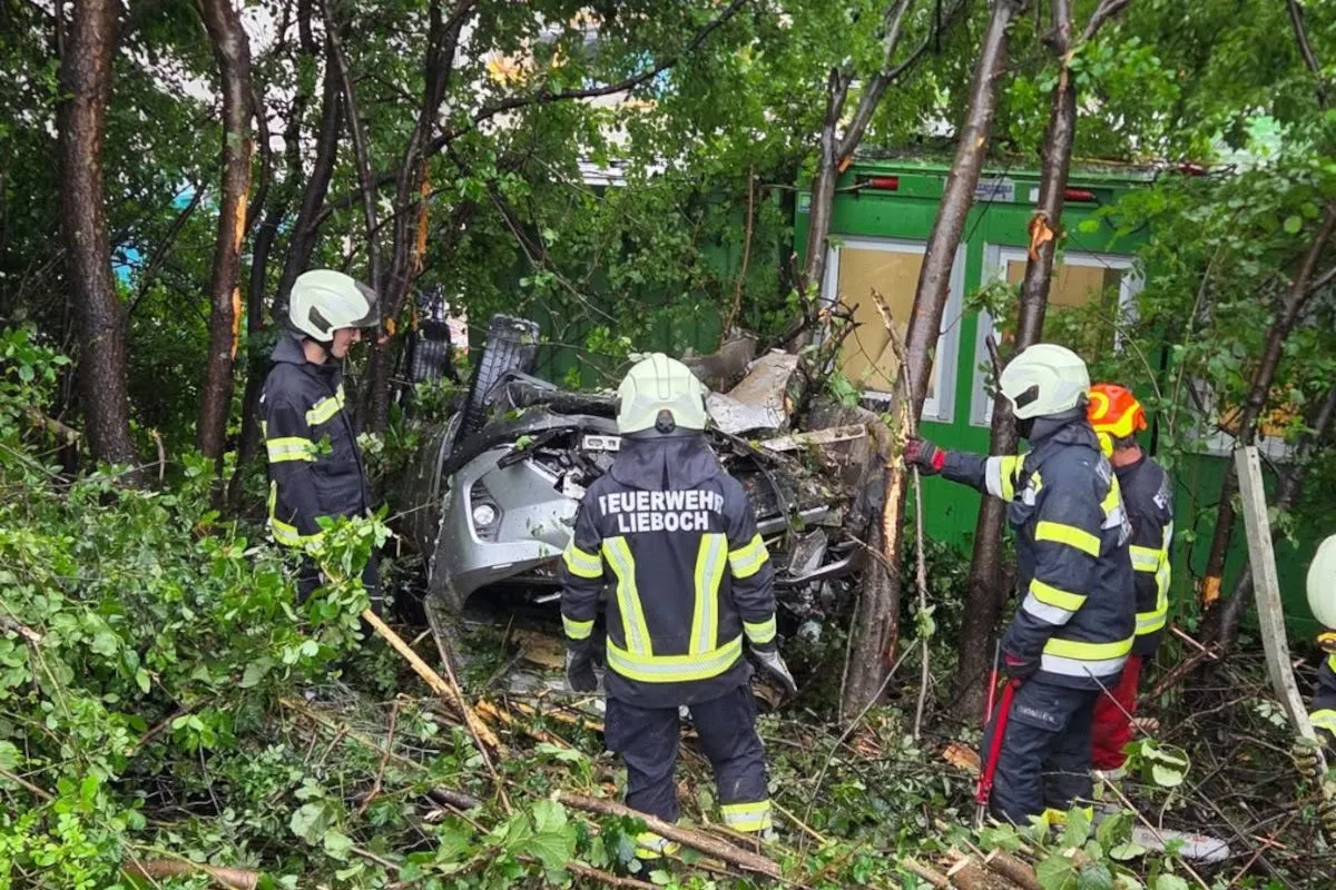 Mehrere Feuerwehrleute in Schutzkleidung inspizieren ein Fahrzeugwrack im Wald. Das Auto ist schwer beschädigt.