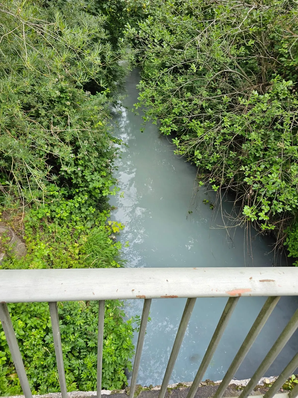 Ein Bach mit grauem Wasser fließt unter einer Brücke durch, umgeben von dichten Grünpflanzen. Ein Geländer ist im Vordergrund sichtbar.