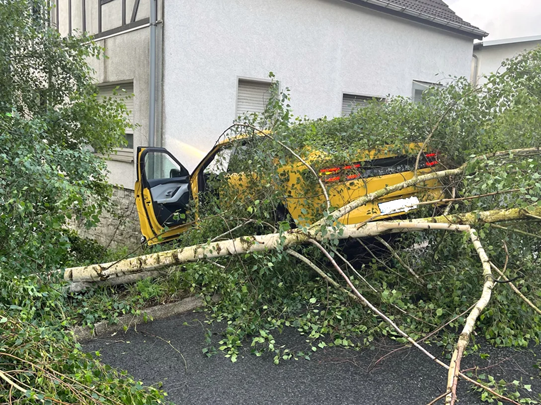 Ein gelbes Auto steht unter einem umgestürzten Baum, der gegen eine Hauswand gelehnt ist. Die Szene zeigt Blätter und Äste, die das Fahrzeug bedecken.