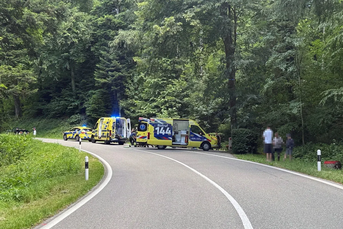 Eine Gruppe von Einsatzfahrzeugen ist auf einer kurvigen Straße in einem Waldgebiet zu sehen. Personen stehen in der Nähe der Fahrzeuge.
