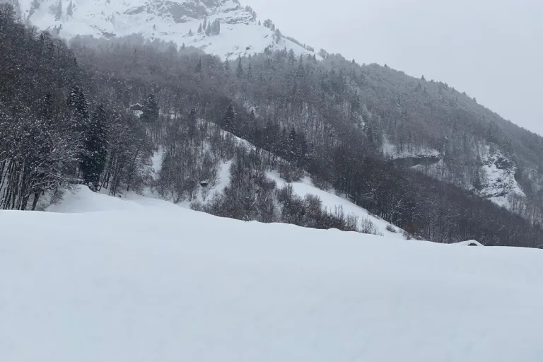 Stainach-Pürgg - Alpinist bei Wanderung schwer verletzt!