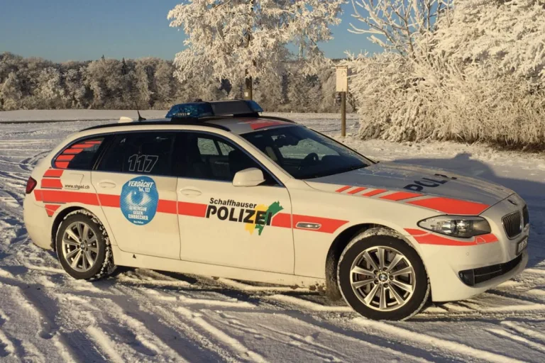 Hallau SH - Mit Hechtsprung aus dem schleudernden Auto gesprungen