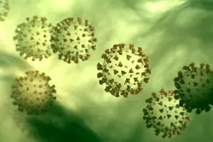 Coronavirus in Heilbronn – Regeln zur Verhinderung der Ausbreitung des Virus