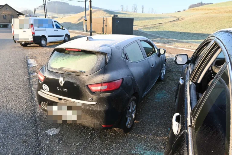Lütisburg SG - Mehrere Autoscheiben eingeschlagen 