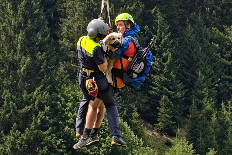 Wanderunfall bei Mittelberg V – Hund stürzt ab