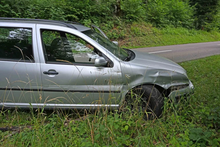 Hallau SH – Unfall mit gestohlenem Auto – Zwei Männer gesucht