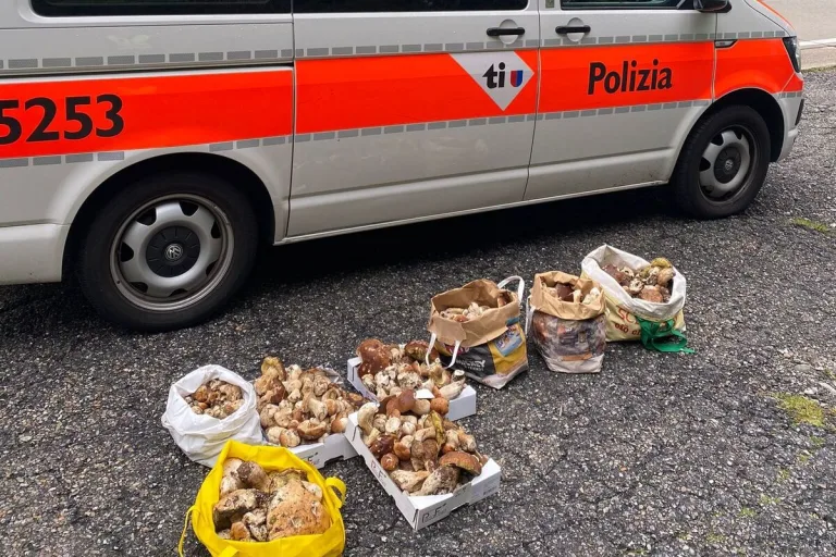 Valle di Blenio TI - Kontrolle von Pilzsammlern